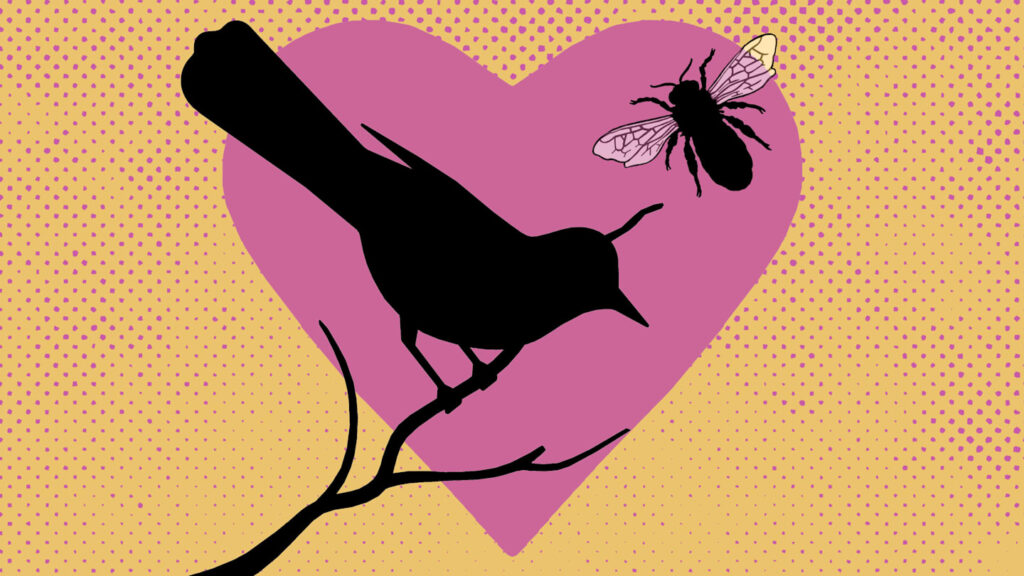 What Is This ‘Bird Theory’ Trend Going Viral on TikTok?