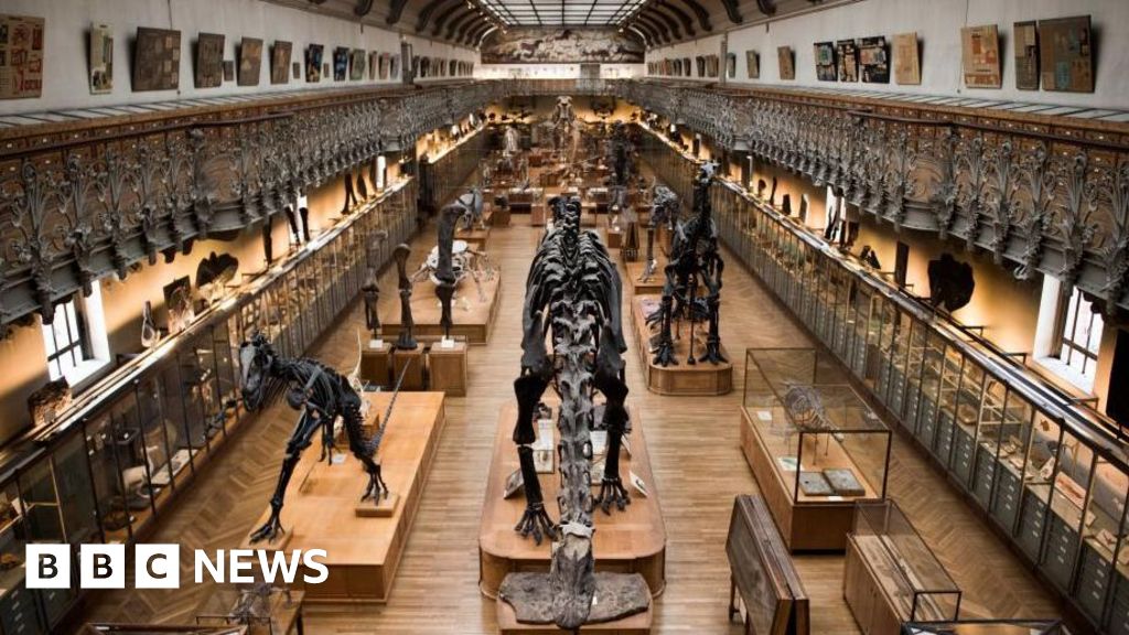 Woman charged after 1.5m euros of gold stolen from museum