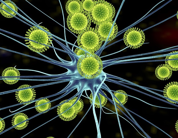 Zika virus exposure during pregnancy permanently shapes offspring's frontline immune cells