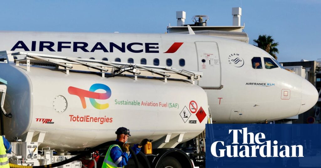 ‘This is real progress’: airlines on sustainable aviation fuels and the chances of net zero flying | Business