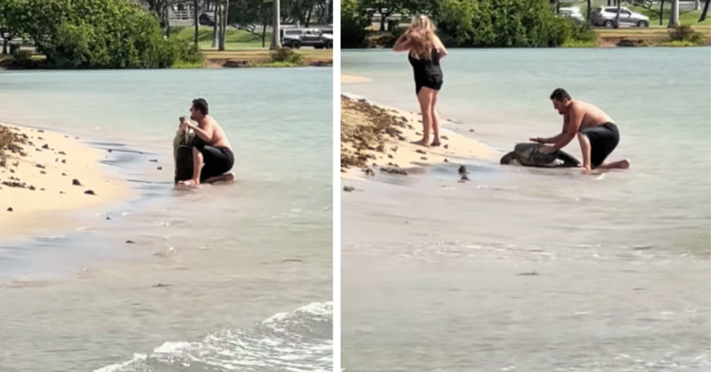 A Man Has Gone Viral Posing With a Wild Turtle on Vacation