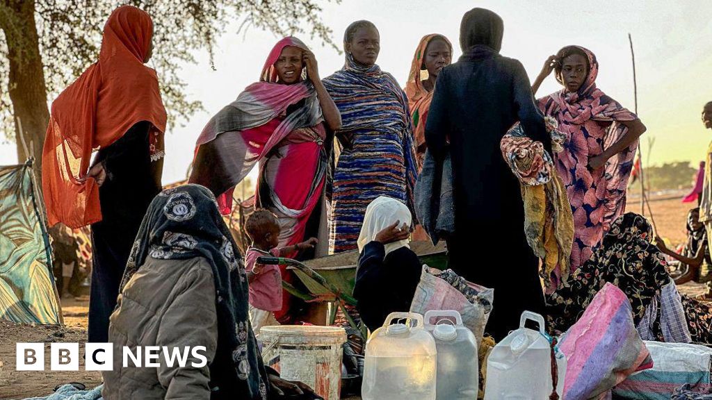 A boy's escape from el-Fasher amid accusations of spying