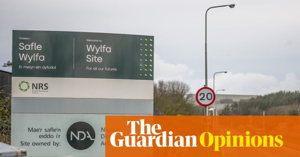 Atom is prematurely split in the ‘golden age’ transatlantic partnership | Nils Pratley