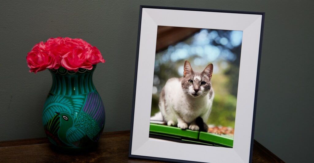 Aura’s latest, gift-worthy digital photo frame is $30 off for Black Friday