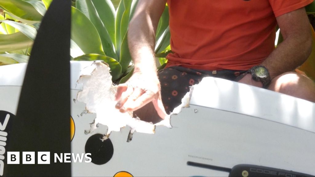 Australian windsurfer escapes shark attack