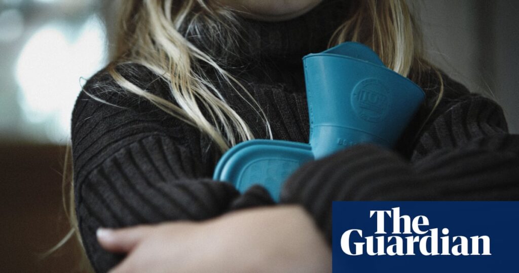 Cuts to insulation scheme will leave homes cold over winter, experts say | Fuel poverty