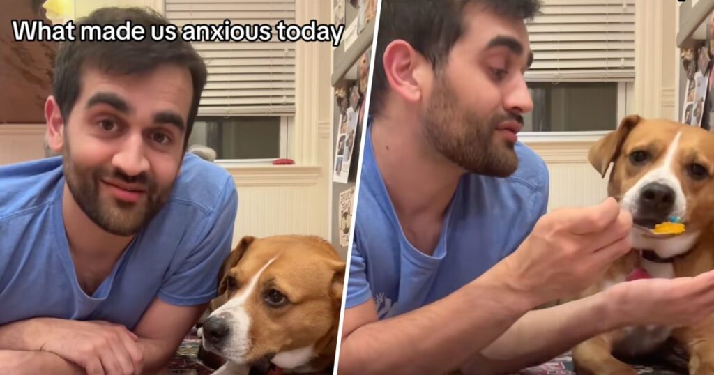 Dog and Owner Take Anxiety Medication Together in Viral Video Series