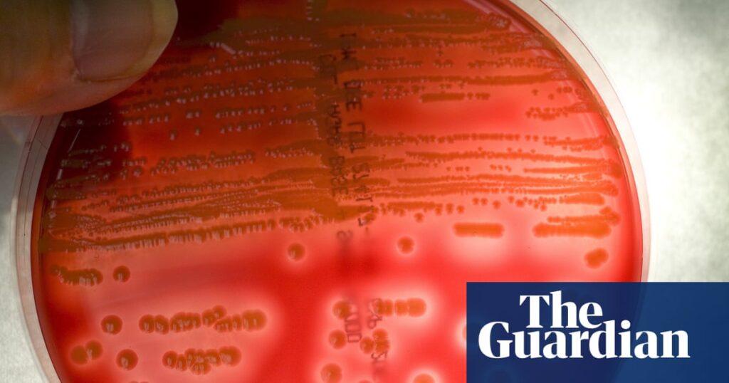 EPA urged to ban spraying of antibiotics on US food crops amid resistance fears | Pesticides