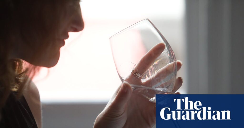 EU court rules non-alcoholic drinks cannot be called gin | European Union