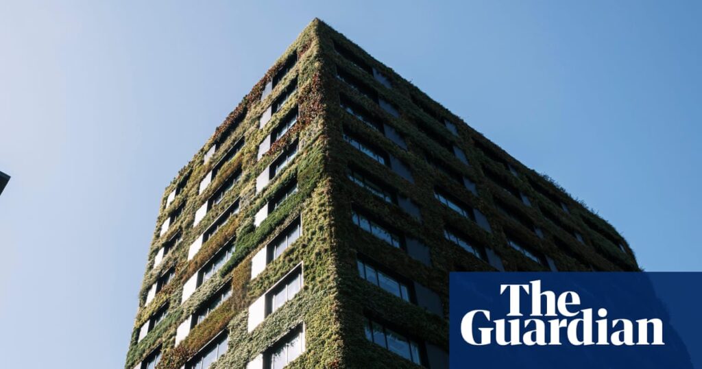 Growth in global demand for ‘green’ office buildings slows amid Trump policies | Commercial property