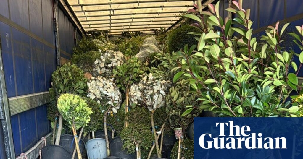 Plant importers say border delays in Kent could drive up prices and stop deliveries from EU | Brexit