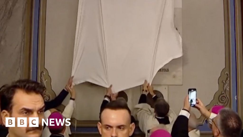 Pope Leo struggles to unveil plaque in Turkey