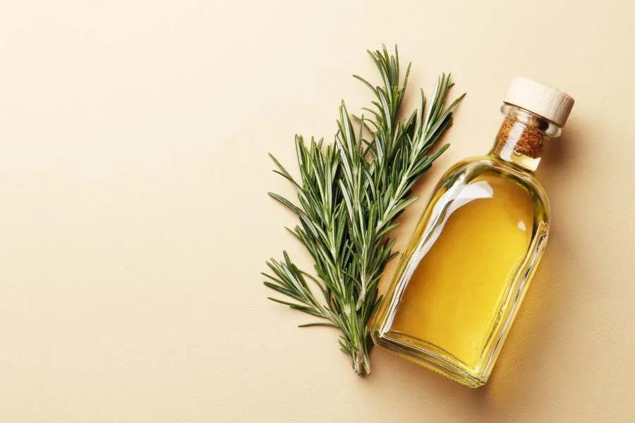 Scientists confirm viral rosemary remedy for scar-free skin healing