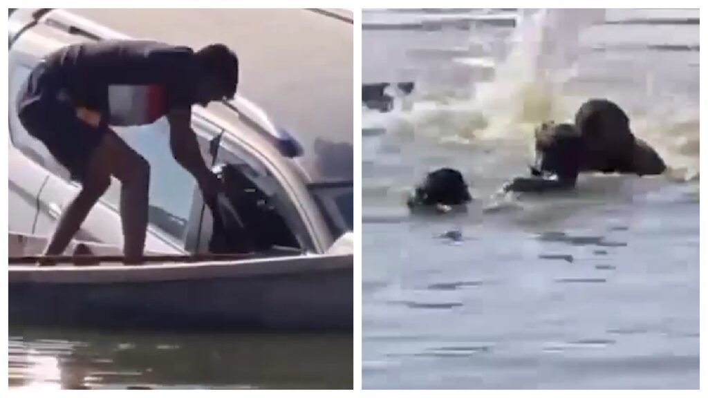 UP man jumps into pond to rescue driver from his sinking car Video goes viral
