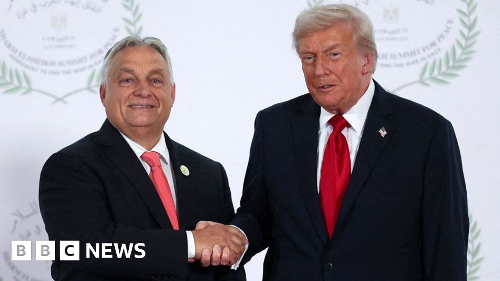 Viktor Orban's dilemma - Russian oil or Trump's favour