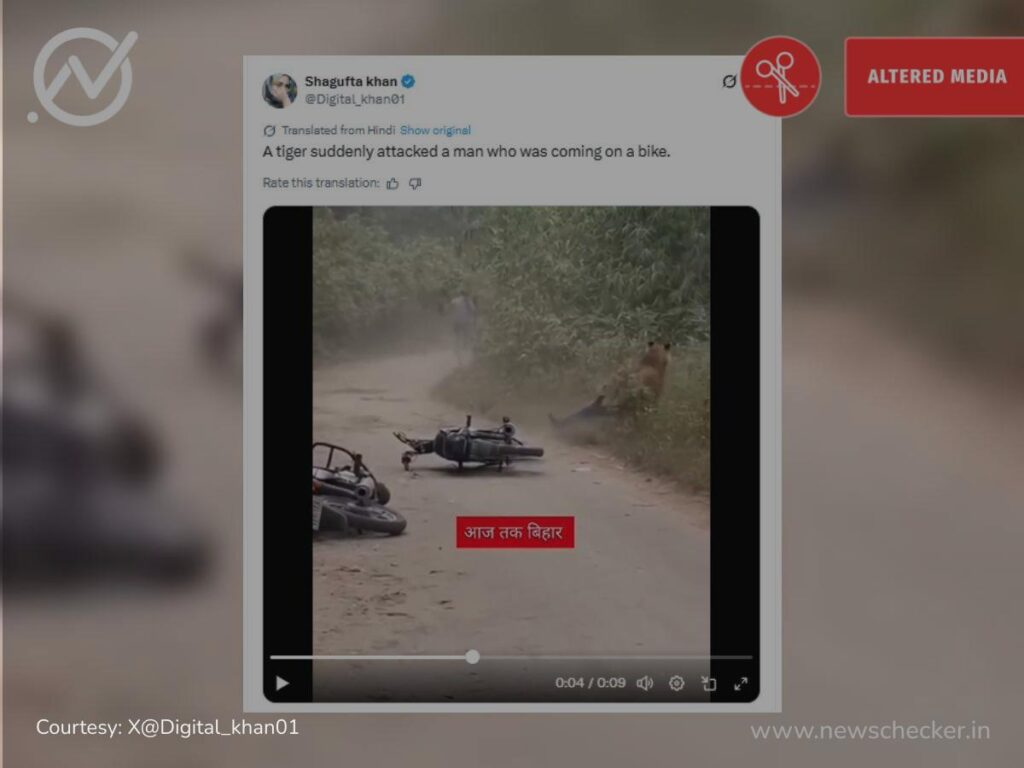 Viral Video Showing Tiger Attacking Biker Is AI-Generated