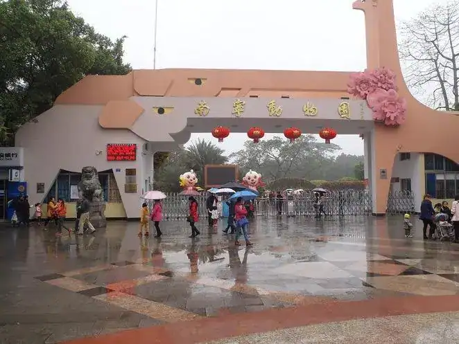 Viral Video Shows Chimpanzee Smoking at Chinese Zoo