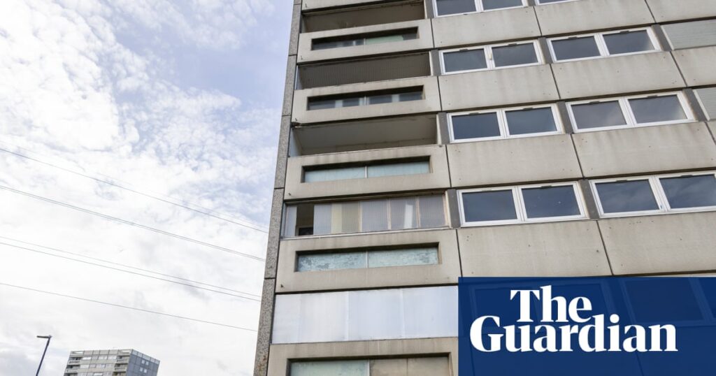 ‘Are you building communities or just houses?’: human cost of Birmingham council’s plans for Druids Heath estate | Housing