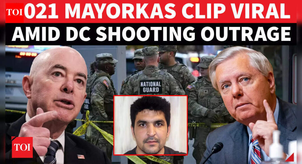 ‘Were They 100% Vetted?’: Viral Senate Clip Haunts Mayorkas as Afghan Evac Shoots 2 Guards in DC - Times of India