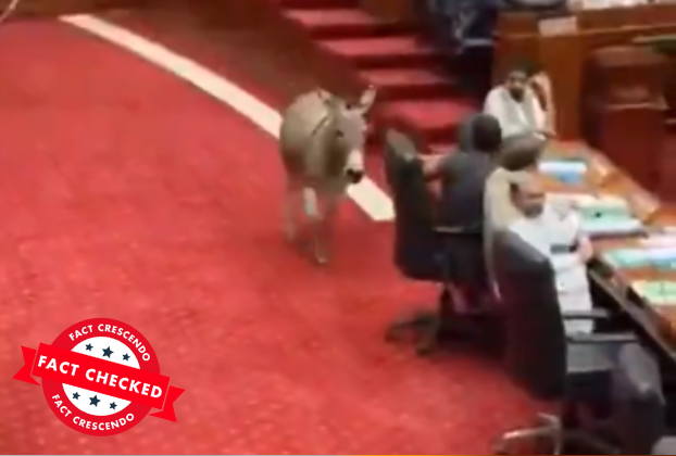 Donkey Entered The Pakistan Parliament? Here's The Truth.
